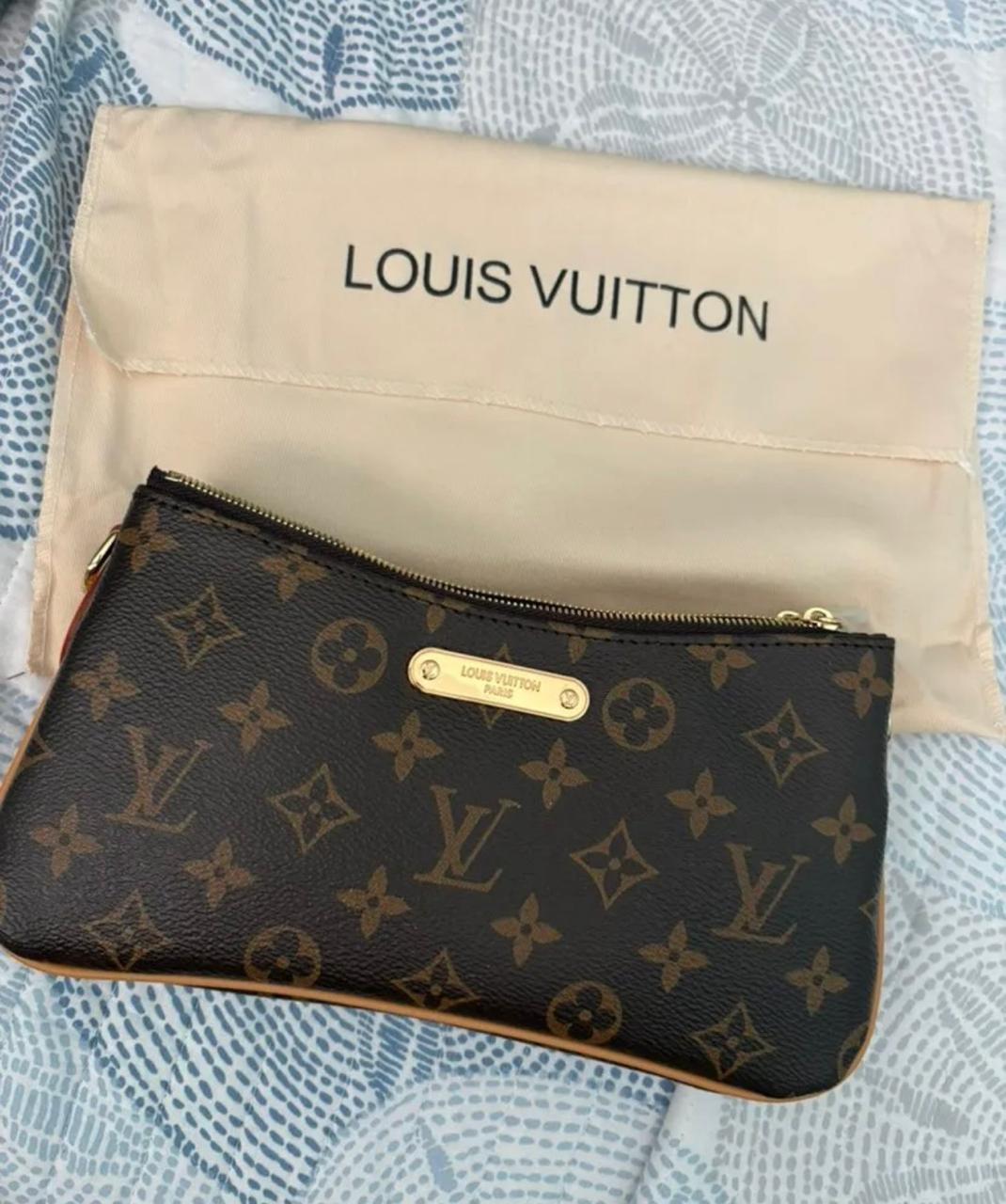 Louis Vuitton Classic Monogram Canvas Zip Pochette