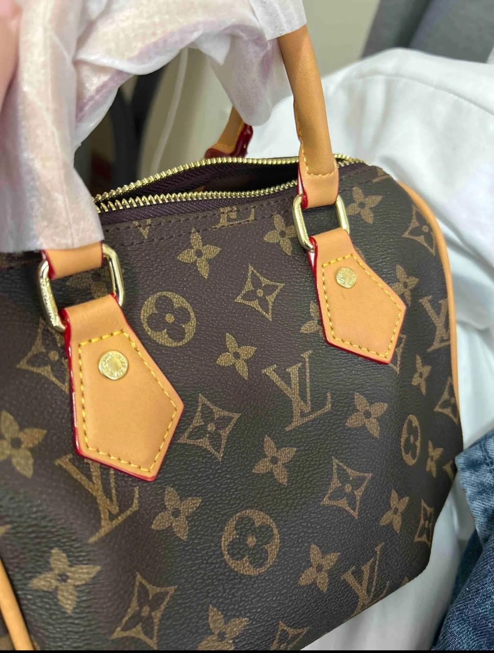 Louis Vuitton Speedy Bandoulière — Monogram Canvas